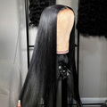 Jet Black 13X6 Skinmelt HD Lace Full Frontal Wig Straight Clean Hairline