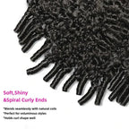 Burmese Curly HD Lace Closure Wig | Glueless Wear & Go | 5x5 & 6x6